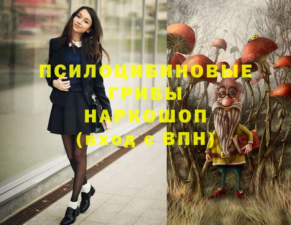 шишки Алзамай